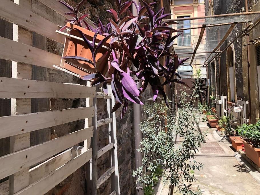Suite Vicolo Lavico Catânia Exterior foto