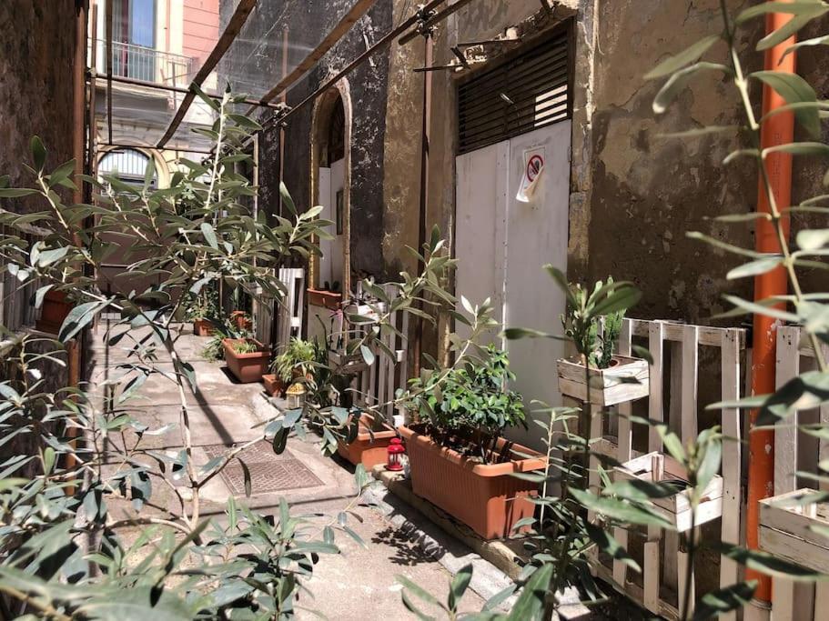 Suite Vicolo Lavico Catânia Exterior foto