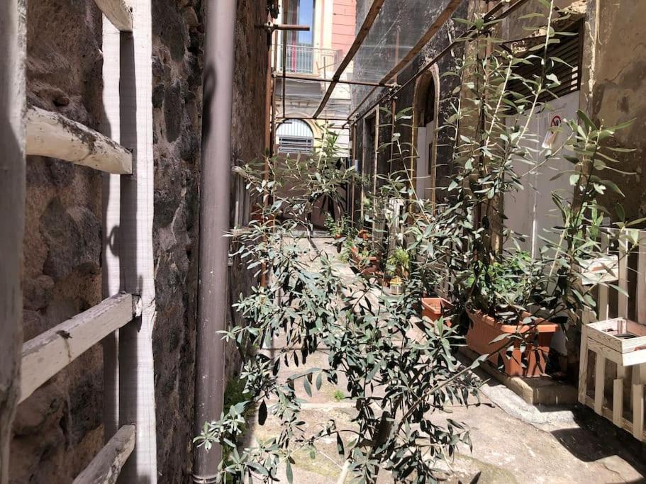 Suite Vicolo Lavico Catânia Exterior foto